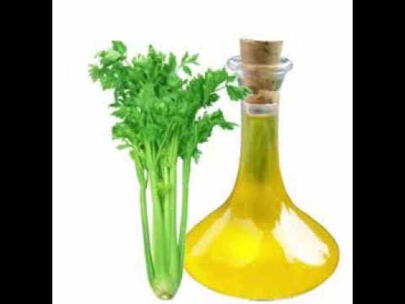 celery oil